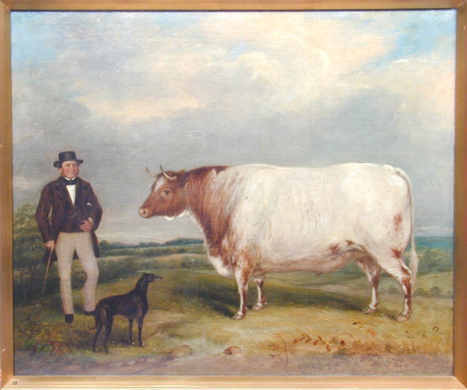 Cow painting