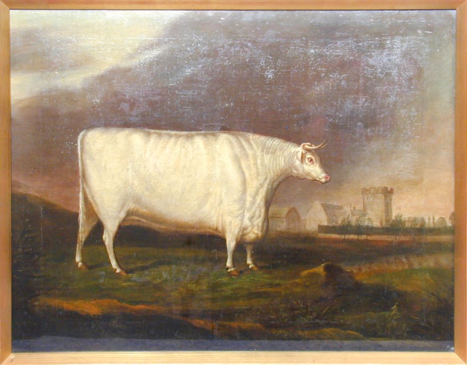 White ox painting