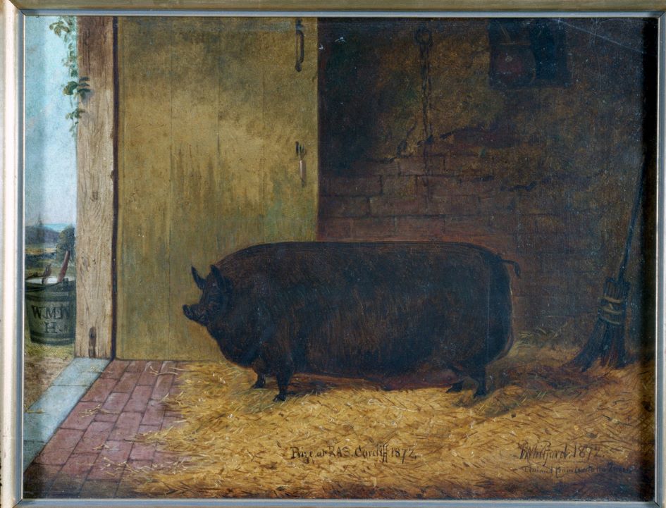 Prize pig painting
