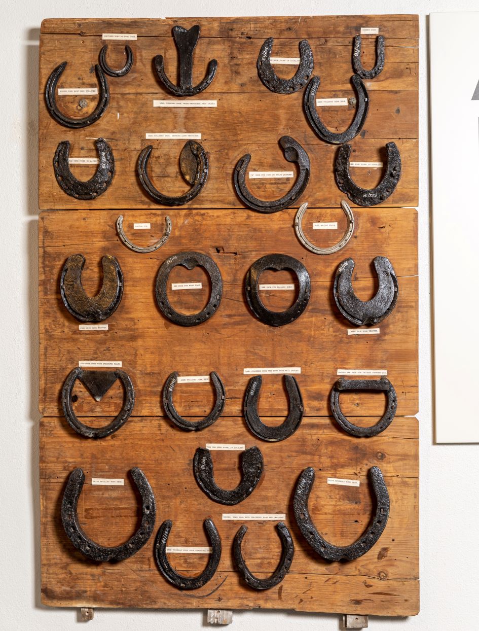 Horseshoe Display