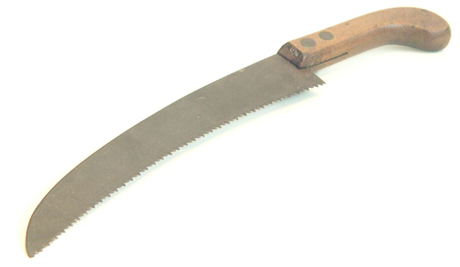 Pruning saw