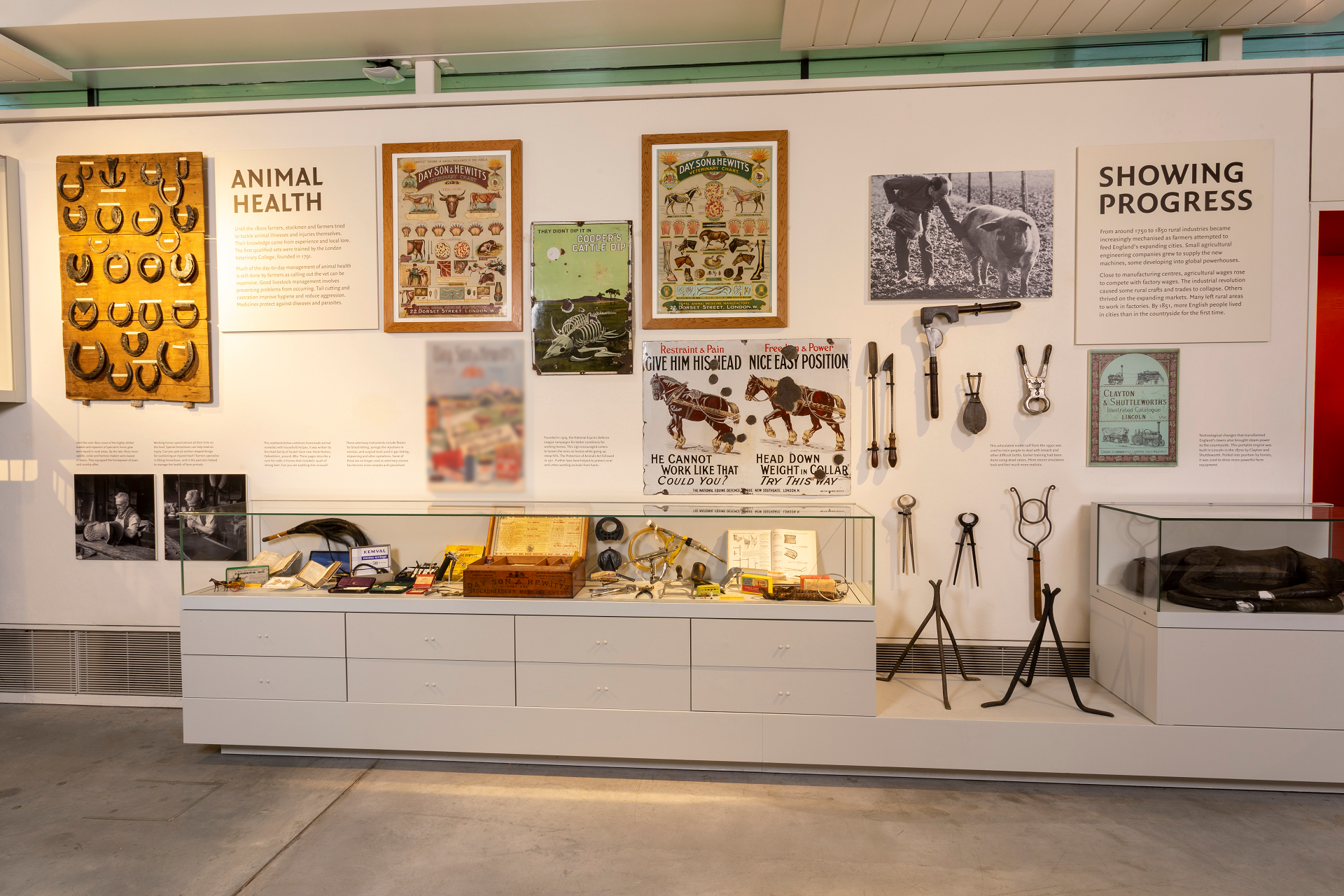 Animal Health Display