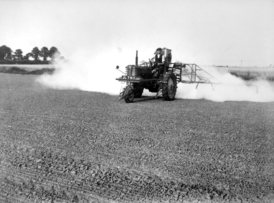 Powder dusting photograph