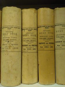 spines of herd books