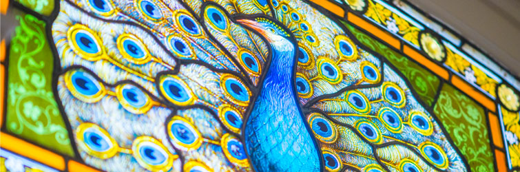 detail of the stained glass peacock window in the reading room at The MERL