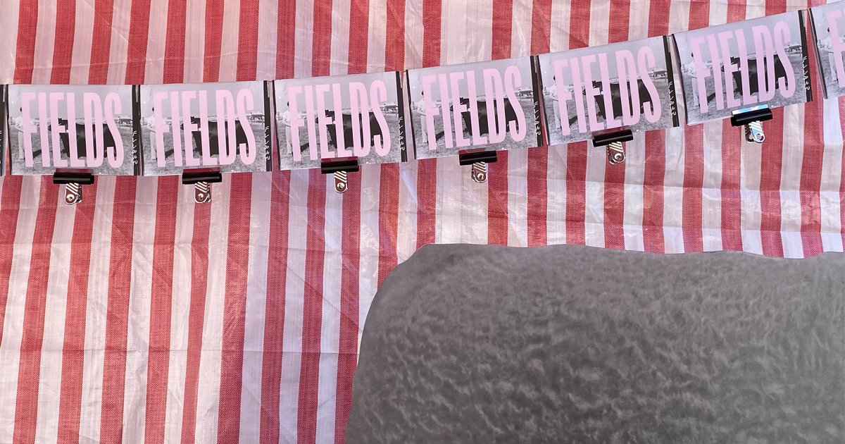 A photograph of FIELDS programmes, with a cardboard animal in the foreground.