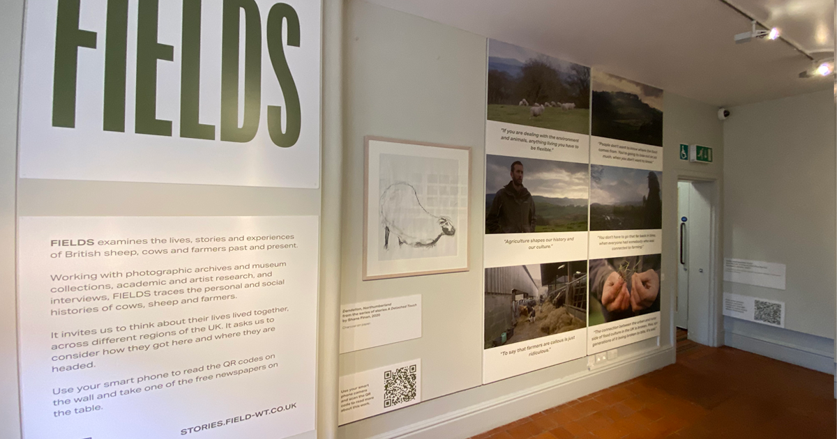 The FIELDS exhibition in The MERL.