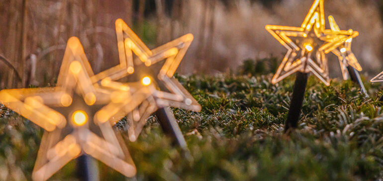 star shaped lights on a green hedge background