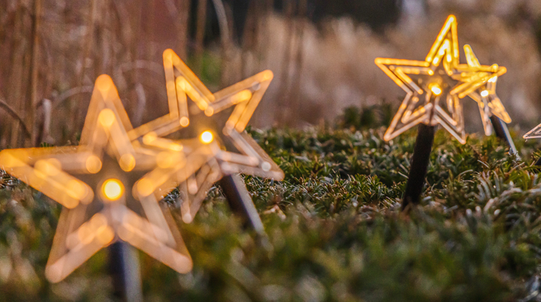 star shaped lights on a green hedge background