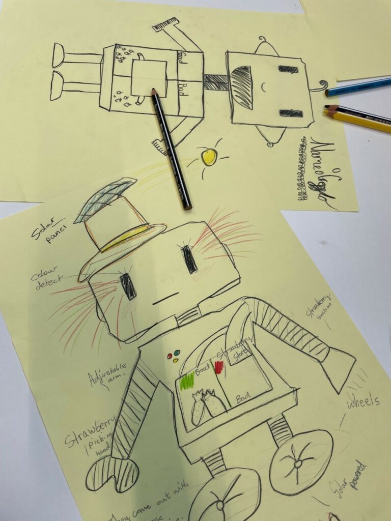 Pupils' designs for a strawberry-picking robot