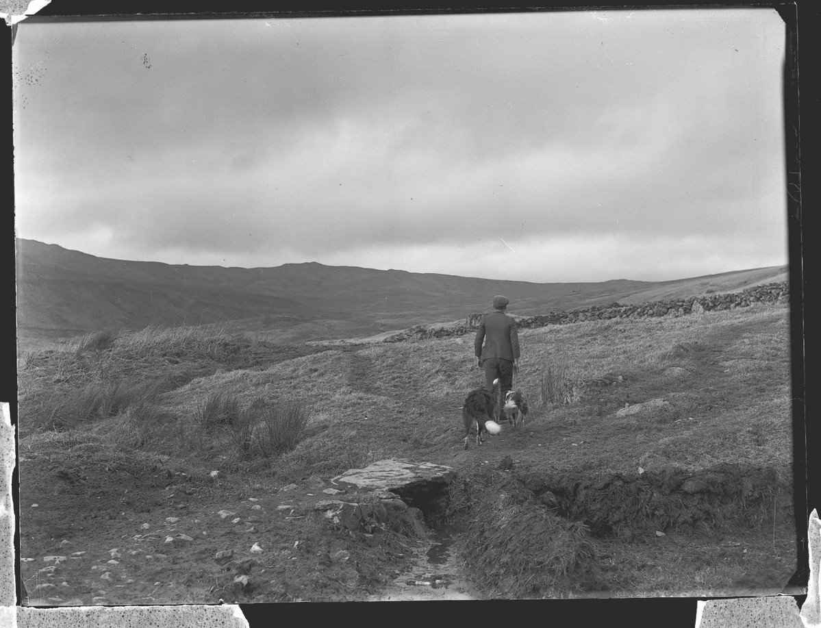 A man and two dogs explore the North Welsh countryside at Bala. 
