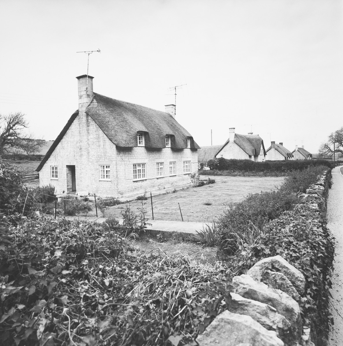 A row of thatched cottages at Poxwell, south east of Dorchester.