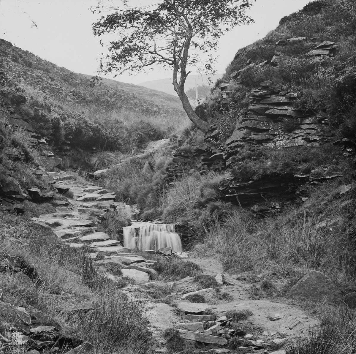 A black and white photograph showing a path up a hill.