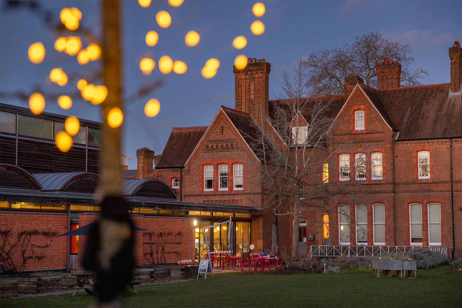 Magical Lights in The MERL garden.