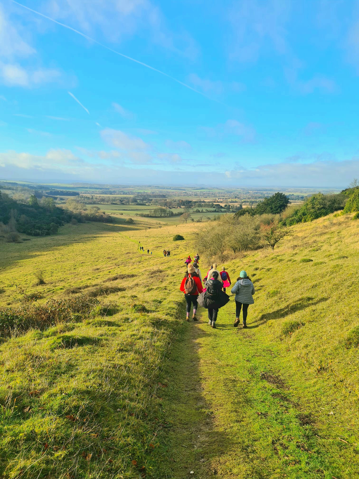 A hike through the Chilterns.