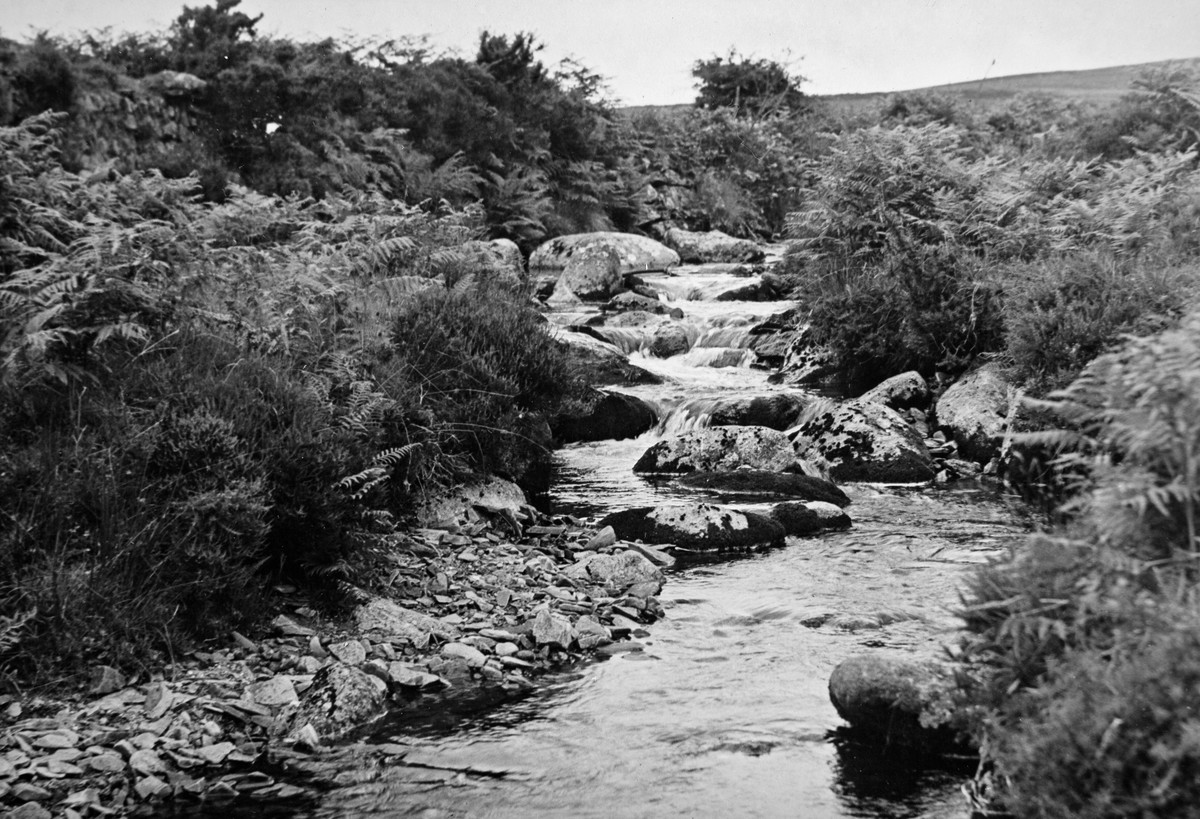 A Dartmoor stream.