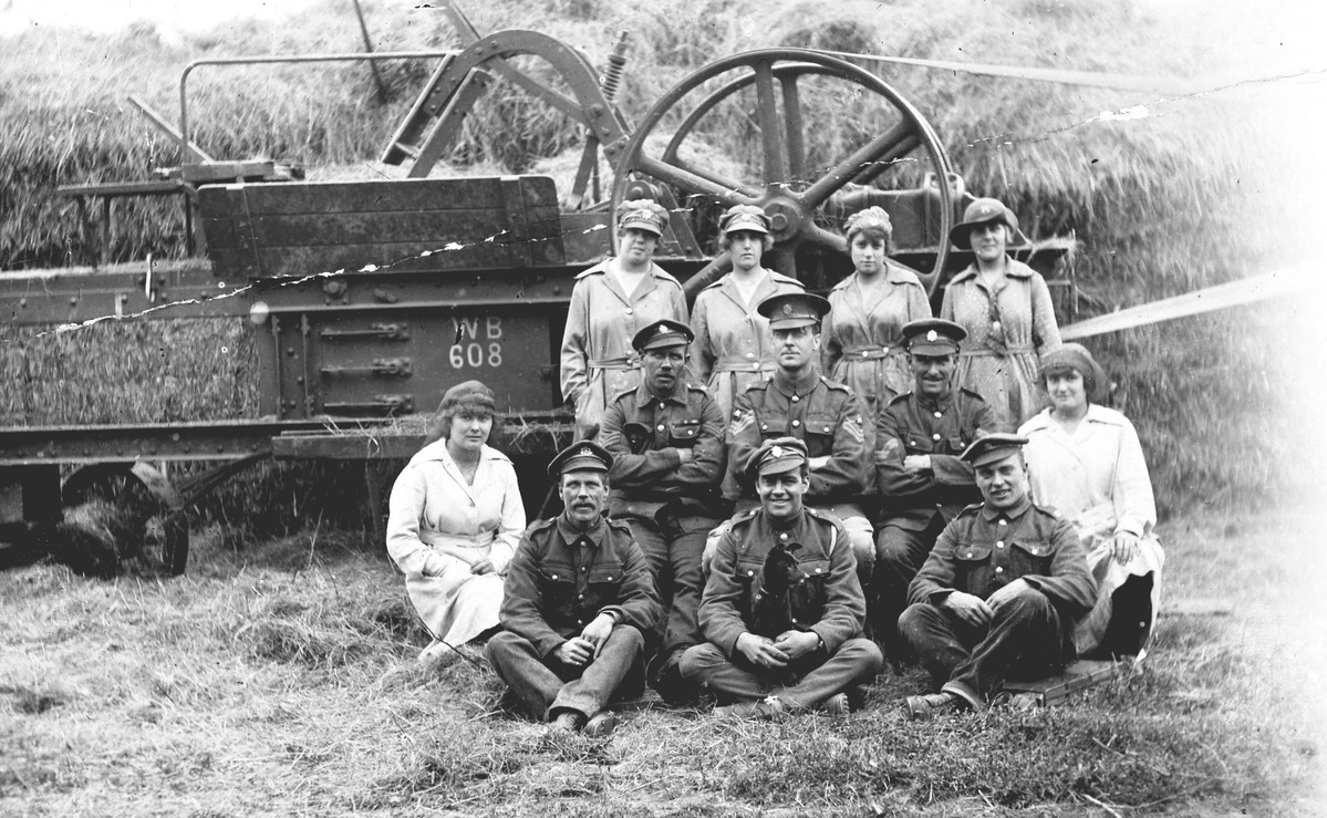 Forage Corps and Land Girls making hay (whilst the sun shines).