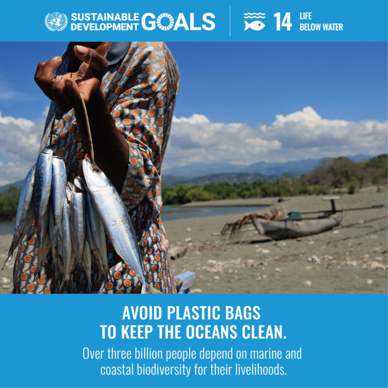 Sustainable Development Goal 14. It says 'Avoid plastic bags to keep the oceans clean'.