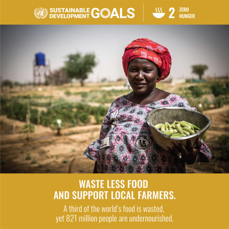 Sustainable Development Goal 2. It says: 'Waste less food and support local farmers'.