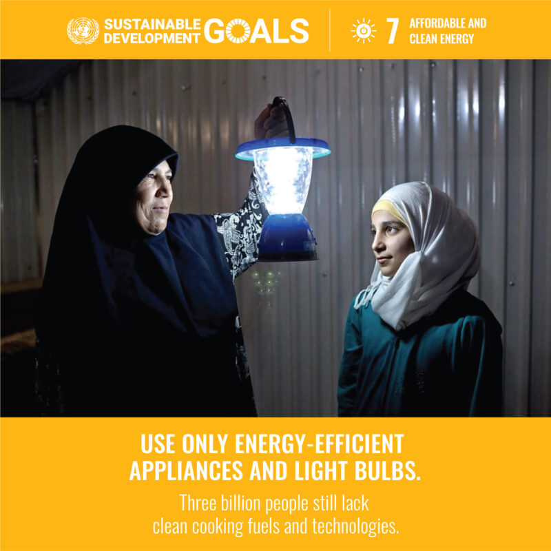 Sustainable Development Goal 7. It says: 'Use only energy-efficient appliances and light bulbs'.