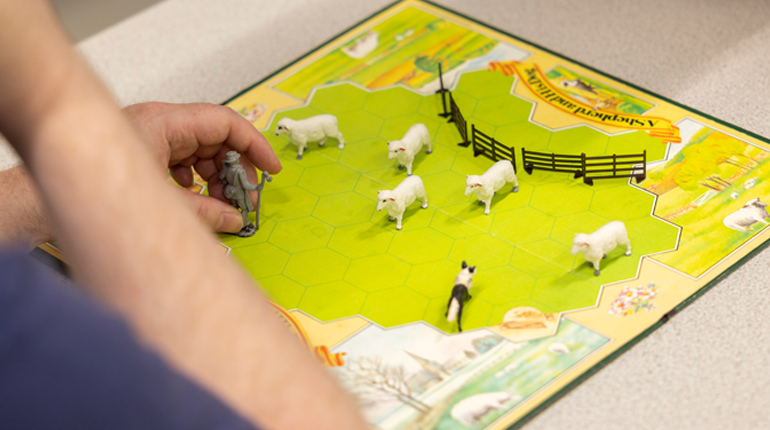 someone playing a board game from the MERL collection with sheep and sheepdog figures