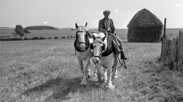A black and white photo by John Tarlton showing a man riding two white heavy horses across a field with a hayrick in the background