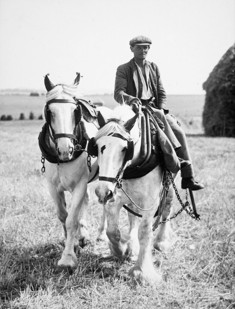 Black and white photograph of a man riding a heavy horse.