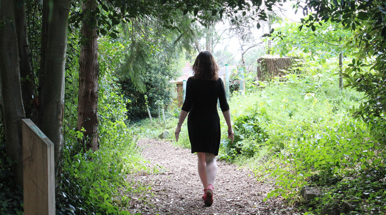 a person walks down a wooded path in the MERL garden