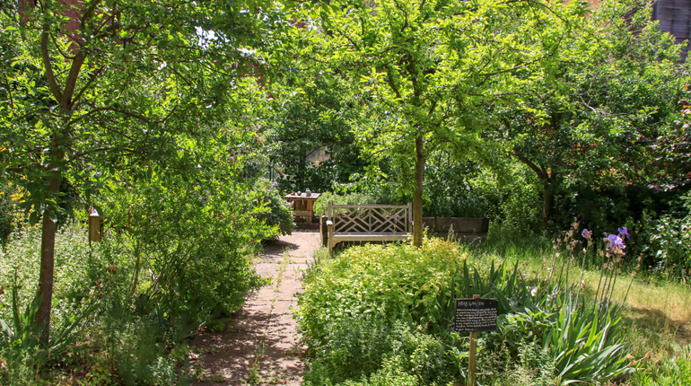 a path leading to a bench in immersed in greenery in the herb garden at The MERL
