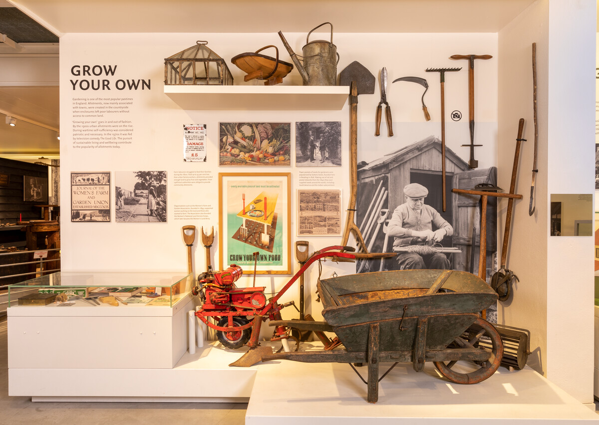 Grow your own display in the Town and Country gallery at The MERL