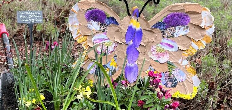 Collage butterfly in the MERL garden