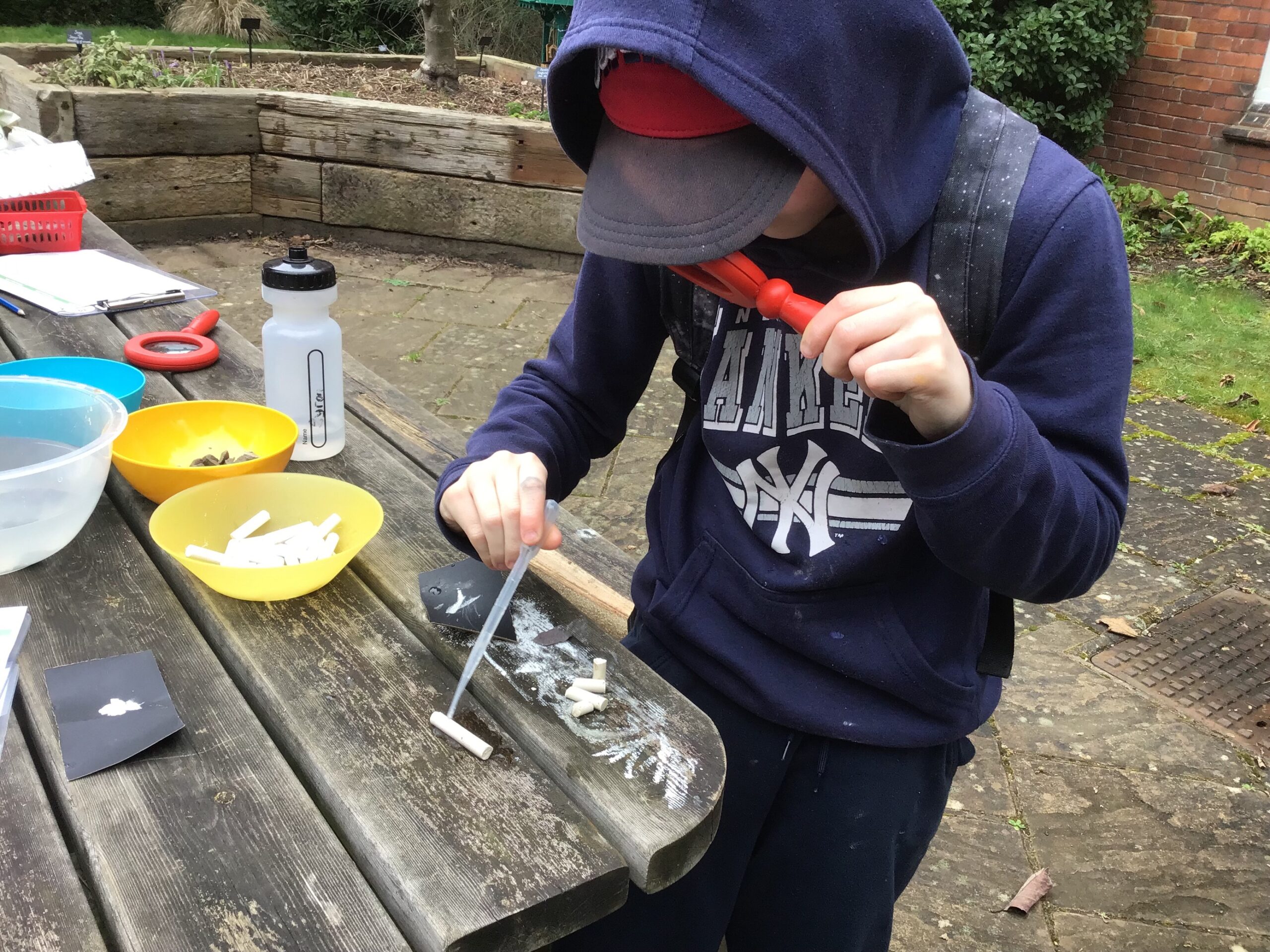 A student from Cranbury College explores the properties of chalk in the MERL garden