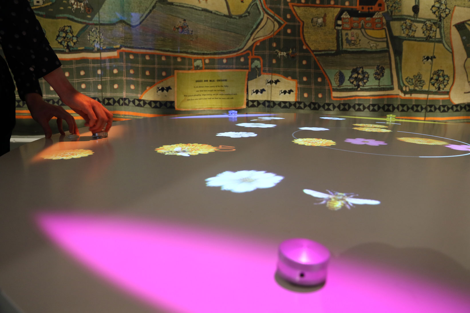 A visitor operating the new bee-themed table top interactive at The MERL. Brightly coloured bees and flowers are projected onto the table.