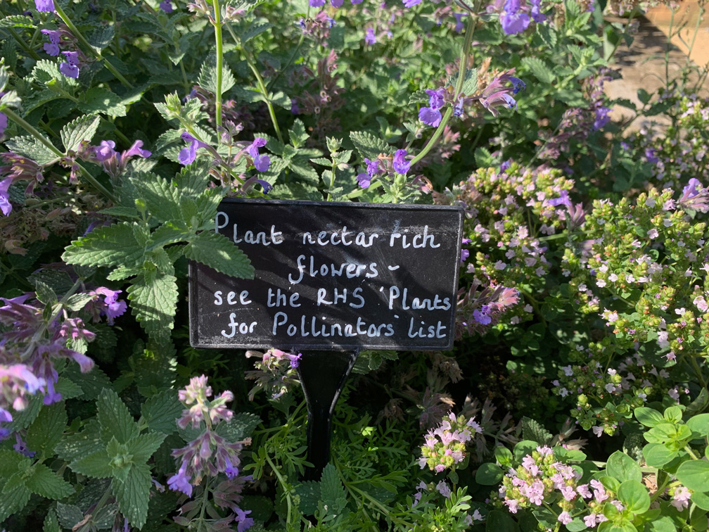 A sign in the MERL garden - 'plant nectar rich flowers - see the RHS plants for pollinators list