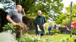 community gardeners laughing and digging in a sunny garden