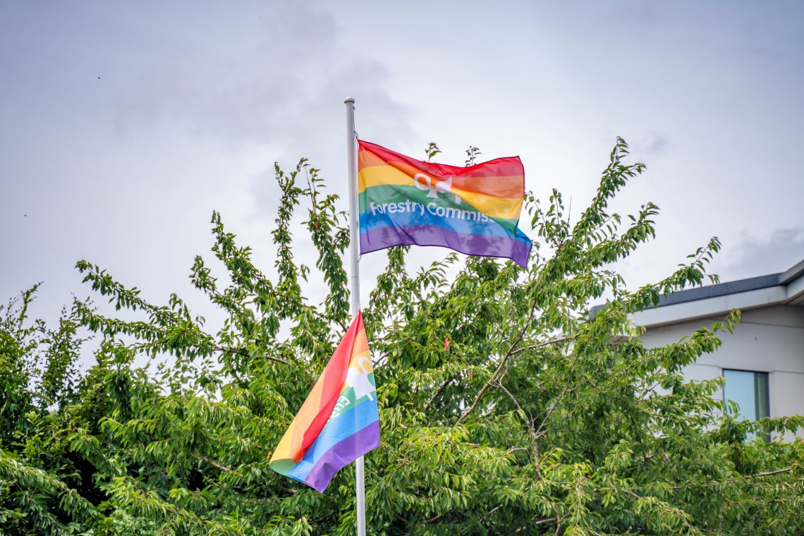 Image of a pride flag sporting the Forestry Commission logo