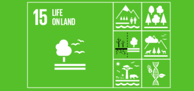 Life on Land logo