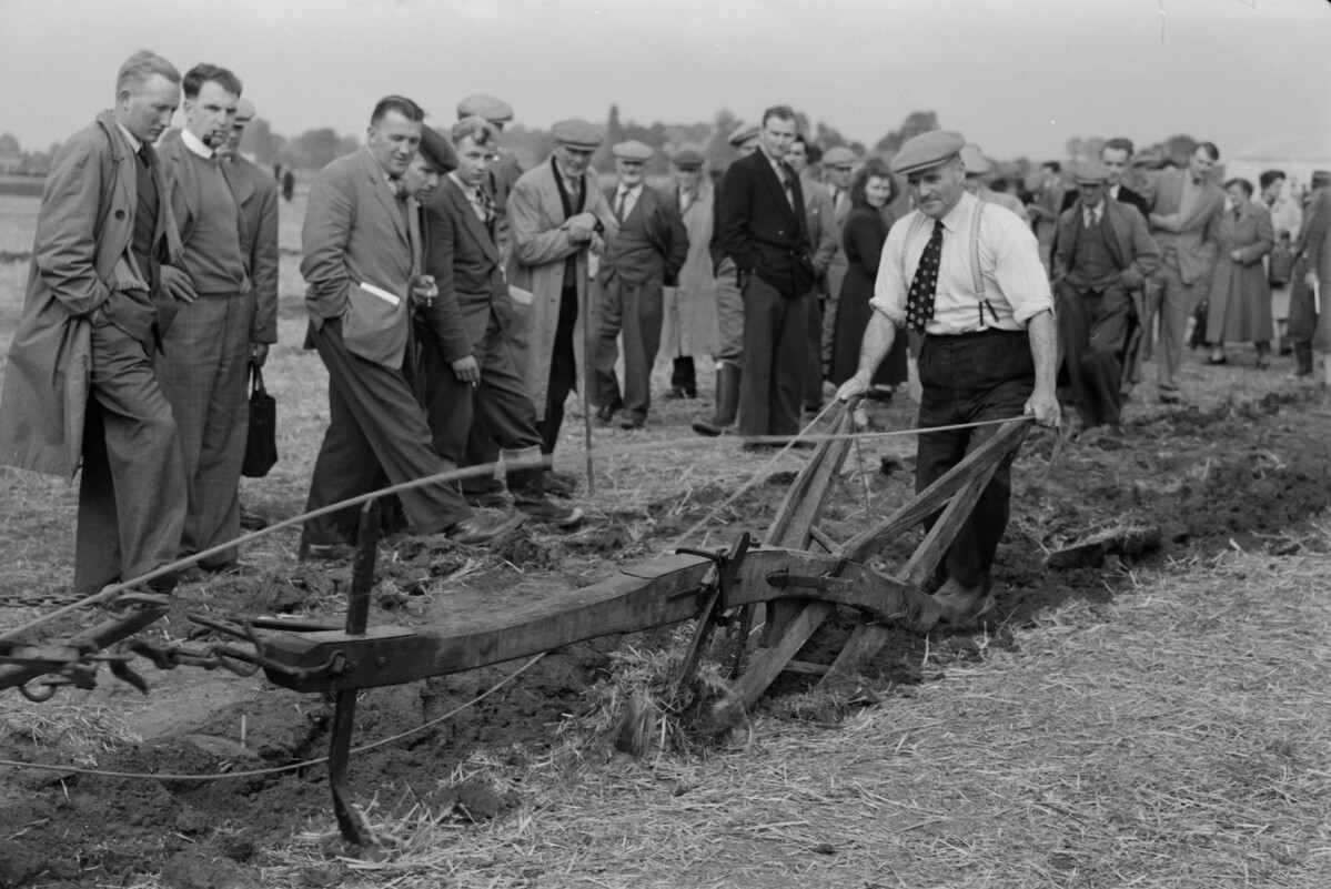 Champion ploughman Nelson Tamblin demonstrates his skills at the World Ploughing Championships in Shillingford, Oxfordshire, in 1956, using a plough drawn from The MERL collection (MERL 60/1475).