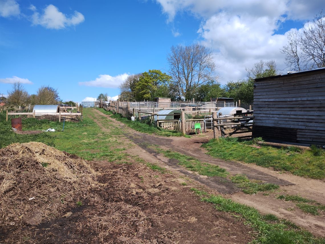 Photograph of Inclusive Farm, showing a path and animal pens