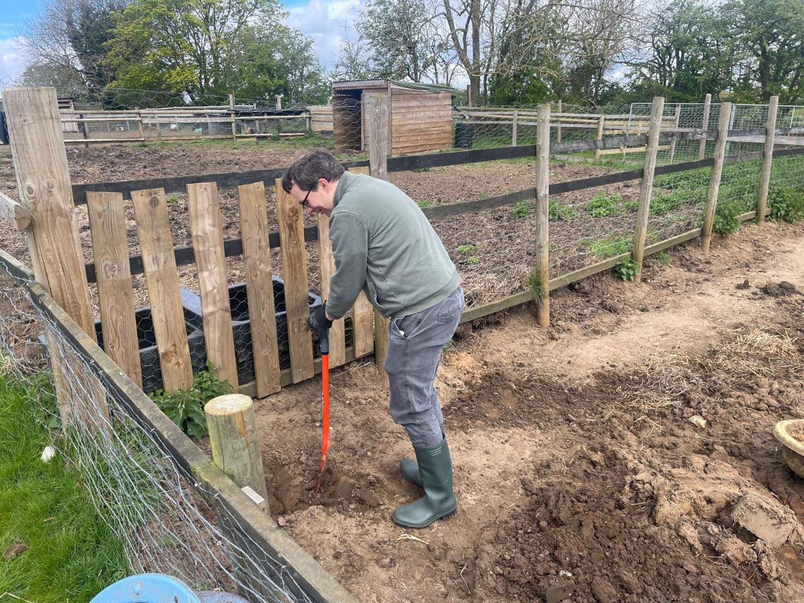 MERL staff digging in an animal pen
