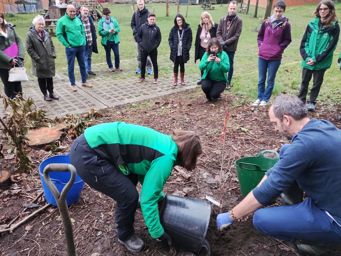 MERL staff and Rainbow canopy members planting a tree together