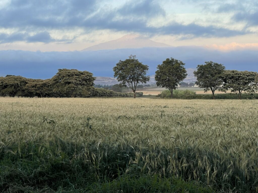 View of Mount Meru from Simba Farm, with hazy cloud-covered mountain in the distance, hills, trees, and an arable field in the foreground.