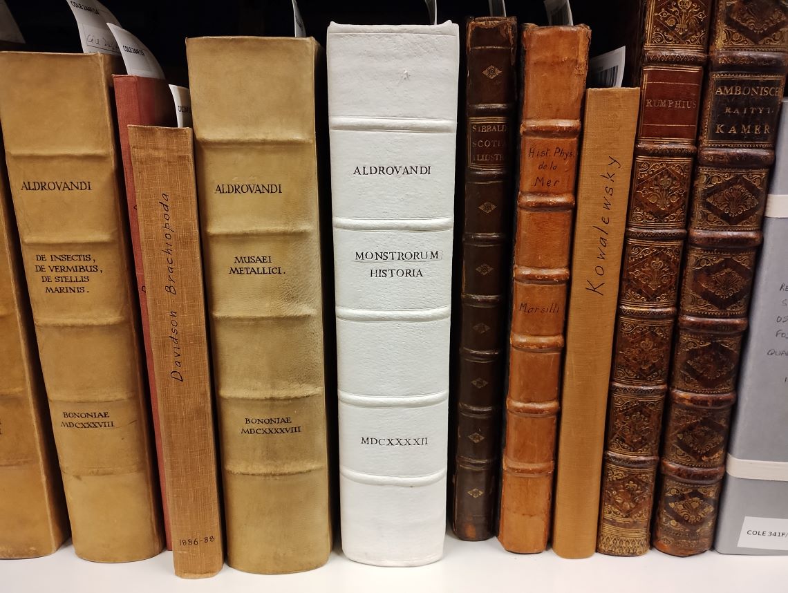 A row of library books in the museum's store