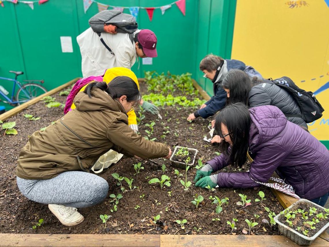 Perle Wong and other food growers tending to an allotment