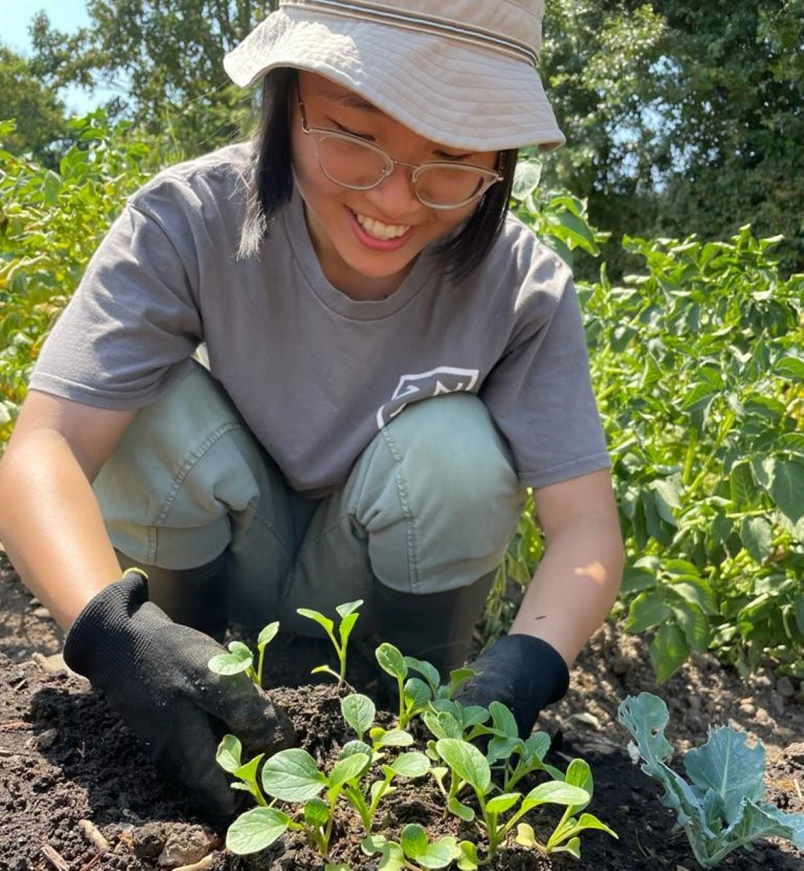 Perle planting in her allotment