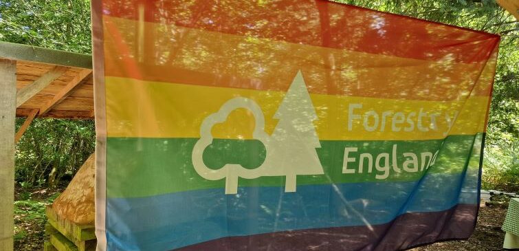 A Forestry England Pride flag