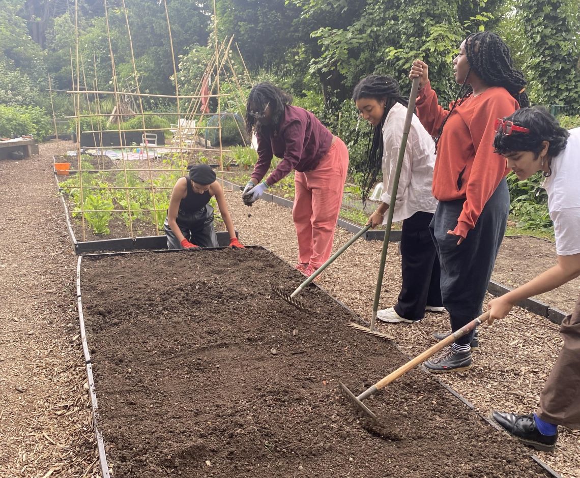 Four people turning over soil in an allotment