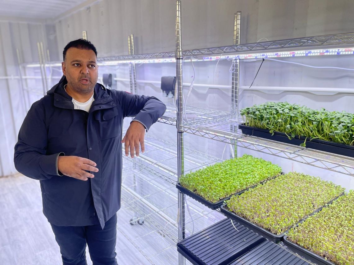 Taz standing next to microgreens growing in beds