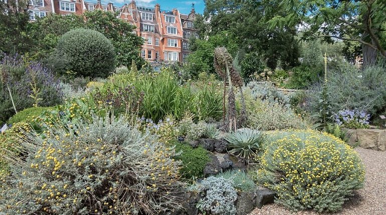 The Chelsea Physic Garden in London