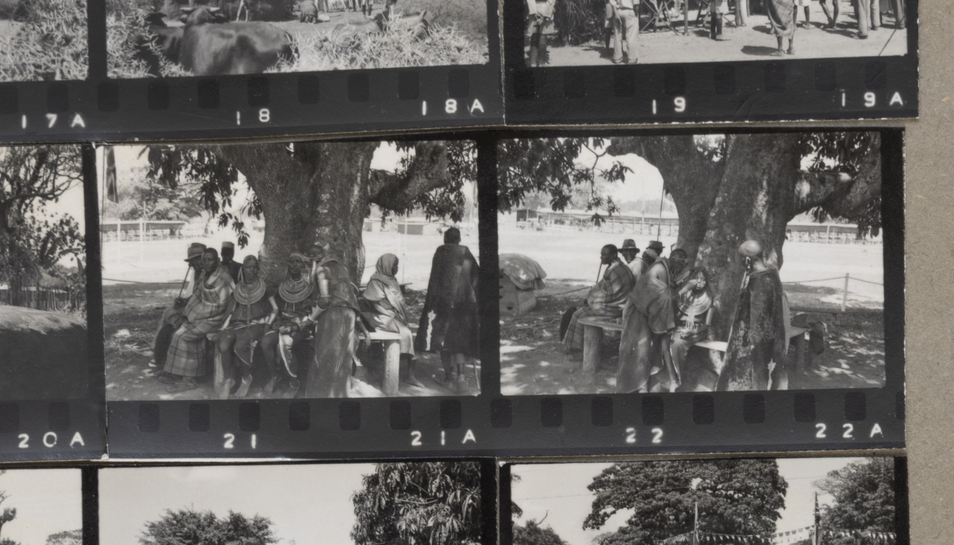 Unidentified Maasai people sitting under a tree, probably in Moshi. Photograph taken by Clyde Higgs in October or November 1952 (Clyde Higgs, photograph album 1, page 12).